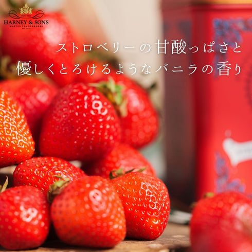 Strawberry Vanilla ストロベリー・バニラ【HT】